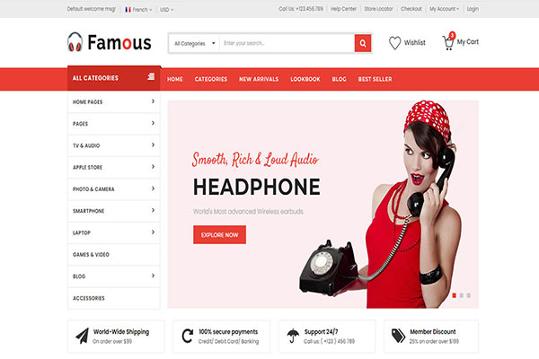 Webmaster Retail 08 - Famous - Electronics Store Website template